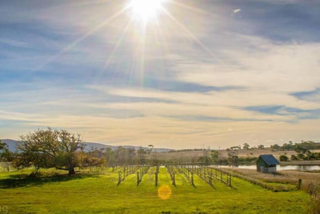 *Newly Relisted* Coach House At Lisdillon Vineyard Villa Little Swanport Exterior photo